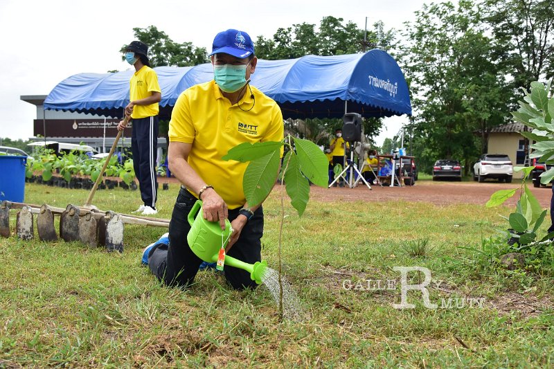 20210526-Tree planting dayt-139.JPG